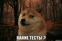  какие тесты ?