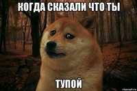 когда сказали что ты тупой