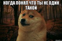 когда понял что ты не один такой 