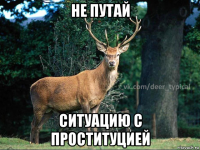 не путай ситуацию с проституцией