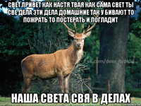 свет привет как настя твая как сама свет ты све дела эти дела домашние так у бивают то пожрать то постерать и погладит наша света свя в делах