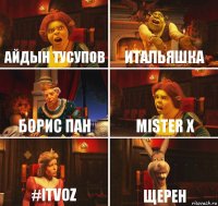 Айдын Тусупов Итальяшка Борис Пан Mister X #itvoz Щерен