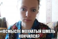  всмысле мохнатый шмель кончился?