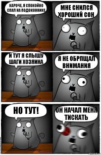 Кароче, я спокойно спал на подоконнике Мне снился хороший сон И тут я слышу шаги хозяина Я не обрпщал внимания Но тут! Он начал меня тискать