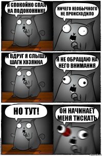 Я спокойно спал на подоконнике Ничего необычного не происходило И вдруг я слышу шаги хозяина Я не обращаю на него внимания Но тут! Он начинает меня тискать