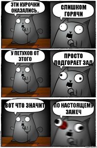 Эти курочки оказались.. слишком горячи у петухов от этого просто подгорает зад вот что значит по настоящему зажеч