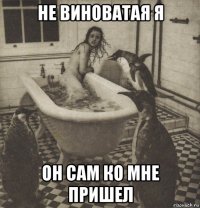 не виноватая я он сам ко мне пришел