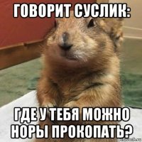 говорит суслик: где у тебя можно норы прокопать?