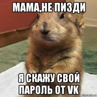 мама,не пизди я скажу свой пароль от vk