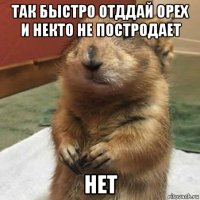 так быстро отддай орех и некто не постродает нет