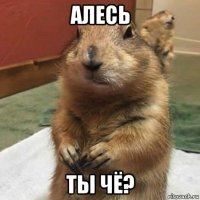 алесь ты чё?