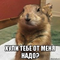  хули тебе от меня надо?