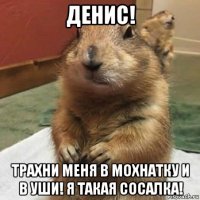 денис! трахни меня в мохнатку и в уши! я такая сосалка!