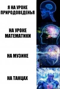 я на уроке природоведенья на уроке математики на музике на танцах