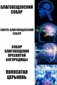 Благовещенский собор Свято-Благовещенский собор Собор Благовещения Пресвятой Богородицы ПОЛОСАТАЯ ЦЕРЬКОВЬ