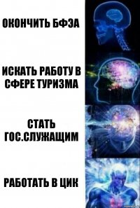 Окончить БФЭА Искать работу в сфере туризма Стать гос.служащим Работать в ЦИК