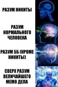 Разум никиты Разум нормального человека Разум 5Б (кроме Никиты) Сверх разум величайшего мемо дела