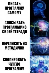 Писать программу самому Списывать программу из своей тетради Переписать из методички Скопировать чужую программу