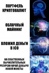 Портфель криптовалют Облачный майнинг Вложил деньги в ICO На собственных вычислительных ресурсах начал добычу новой монеты