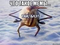 что такое мемы... 