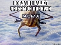 когда не нашёл любимой порнухи 