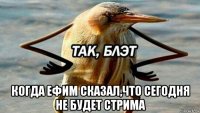  когда ефим сказал,что сегодня не будет стрима