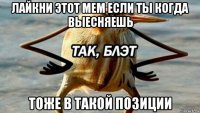 лайкни этот мем если ты когда выесняешь тоже в такой позиции