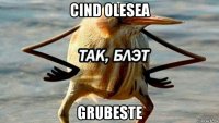 cind olesea grubeste