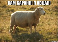 сам баран!!! я овца!!! 