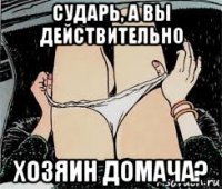 сударь, а вы действительно хозяин домача?