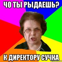 чо ты рыдаешь? к директору сучка