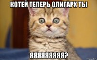 котей теперь олигарх ты яяяяяяяяя?