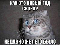 как это новый год скоро? недавно же лето было