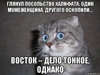 глянул посольство халифата: один мужеженщина, другого оскопили... восток – дело тонкое, однако