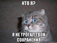 кто я? я не трогал твои сохранения