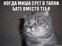 когда миша срет в тапки бате вместо тебя 