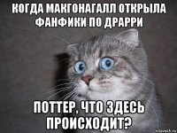 когда макгонагалл открыла фанфики по драрри поттер, что здесь происходит?