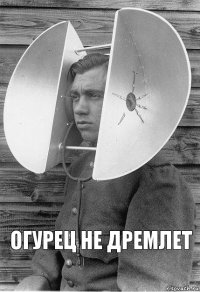 Огурец не дремлет