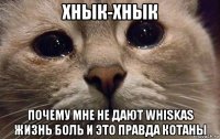 хнык-хнык почему мне не дают whiskas жизнь боль и это правда котаны