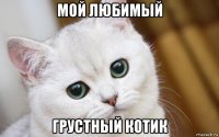 мой любимый грустный котик