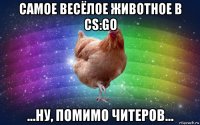 самое весёлое животное в cs:go ...ну, помимо читеров...