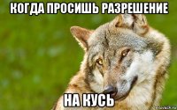 когда просишь разрешение на кусь