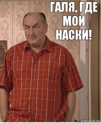 Галя, где мои наски!