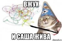 вжух и саша жива