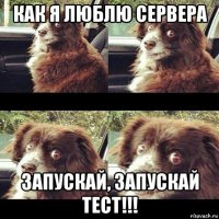 как я люблю сервера запускай, запускай тест!!!