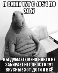 я сижу тут с 1954 по 2017 вы думаете меня никто не забирает.нет,просто тут вкусные хот-доги и всё