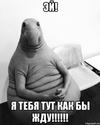 эй! я тебя тут как бы жду!!!!!!