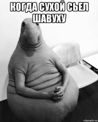 когда сухой сьел шавуху 