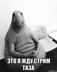  это я жду стрим таза