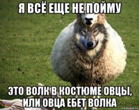 я всё еще не пойму это волк в костюме овцы, или овца ебет волка